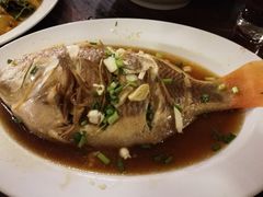 -绿光森林餐厅