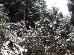 -九峰山