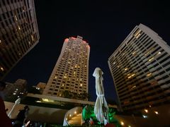 -上海波特曼丽思卡尔顿酒店