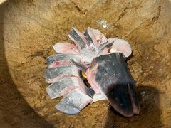 -云中鱼蒸汽石锅鱼(川沙百联店)