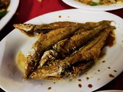 -蛇口康乐快餐鱼仔档(翠苑小区店)