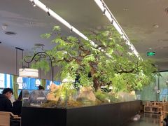 -绿茶餐厅(龙湖杭州金沙天街店)