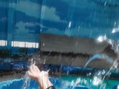 -青岛东方影都融创水世界