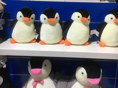 -成都浩海立方海洋公园