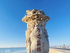 -察尔汗盐湖