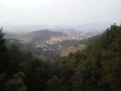 -铁山坪森林公园