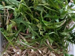 -庆岭迎宾园正宗活鱼馆