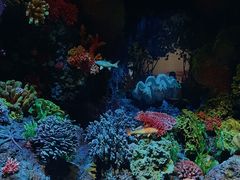 -中国湿地博物馆