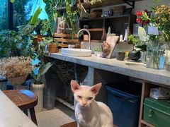 -自由生长植物工作室(深港花卉中心店)
