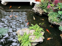 -广州白天鹅宾馆