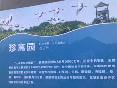 -盐城丹顶鹤湿地生态旅游区