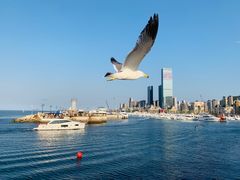 -东港音乐喷泉广场