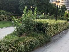 -常州古运河南大街文化旅游区-人民公园