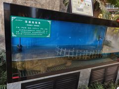 -九尊食上(生态园林酒店)