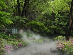 -临平公园(临平街道)