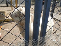 -长白岛森林公园