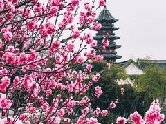 -盘门景区