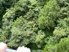 -香山公园