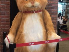 -CGV星星影城(颐堤港ScreenX店)