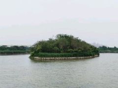 -塘沽森林公园