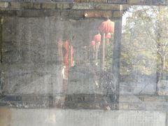 -镇江市南山风景名胜区竹林景区