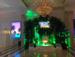 -格乐利雅婚礼艺术中心(南外滩店)