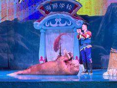 -大连圣亚海洋世界