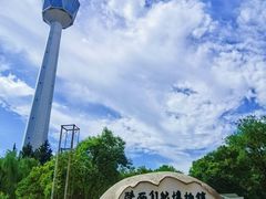 -陕西自然博物馆