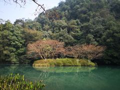 -龙井壹号·茶缘山景宴(龙井村店)