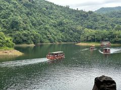 -鼎湖山风景区