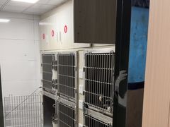 -半岛宠物医院24小时(科华中路店)