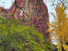 -辽宁大学(崇山校区)