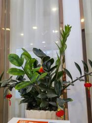 点击看大图 -痘院长·祛痘·皮肤管理