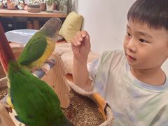 -吉丁鸟咖·异宠·寄养