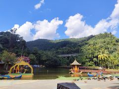 -西双版纳原始森林公园