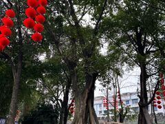 -房湖公园