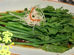 白灼丝瓜尖-雲蜀龙阁·金牌水煮鱼(方庄店)