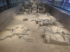 -洛阳周王城天子驾六博物馆