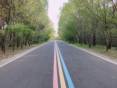 -同里国家湿地公园