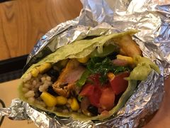 -油梨树 AVOCADO TREE(亮马桥店)