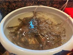 -厦门悦华酒店·绿庭主题自助餐厅
