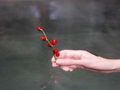 -花水湾第一村温泉大酒店