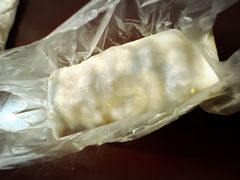 -邓氏大薄片
