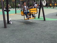 -枫香湖儿童公园