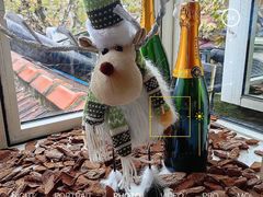 -蝶舍·MAISON PAPILLON