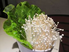 金针菇-鱼颜诱纸纸上烤鱼·蛙(龙湖天街店)