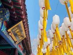 -护国法轮寺