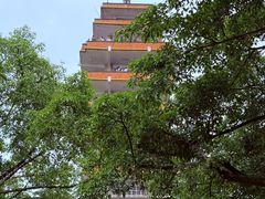 -鹅岭公园瞰胜楼