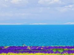 -青海湖国家重点风景名胜区