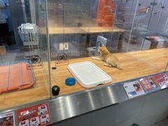 -狗道宠物(常熟印象城店)